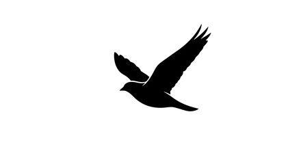 A stark silhouette of a bird in flight against a bright white background displaying freedom and grace