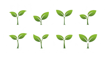 Collection of green sprouts isolated on transparent background