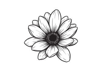 single flower line art isolated vector illustration