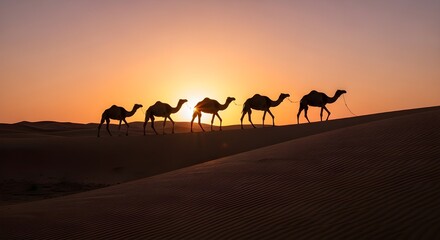 Camels journey across vast desert dunes under a stunning golden sunset, evoking adventure and tradition.