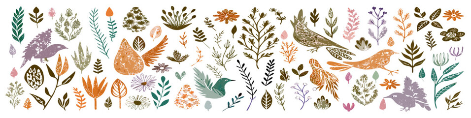 Floral & Bird Clipart Set: Hand Drawn Botanical Illustrations