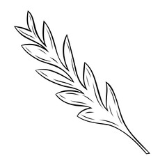 Obraz premium Monochrome botanical branch with leaves. Graphic line art hand drawn ink black and white vector illustration. Isolated object. Good for postcards, posters, stickers, prints