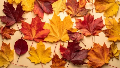 Autumn leaves on a light beige surface