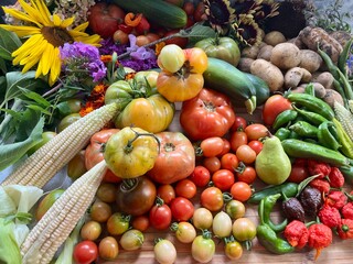 Flat lay of heirloom vegetables including hot peppers, tomatoes, and colored corn