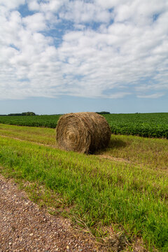 Round Hay Bale Sitting in Ditch next to a Green Soybean Field Mid-Summer in Rural Midwest