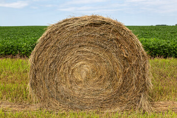 Round Hay Bale Sitting in Ditch next to a Green Soybean Field Mid-Summer in Rural Midwest