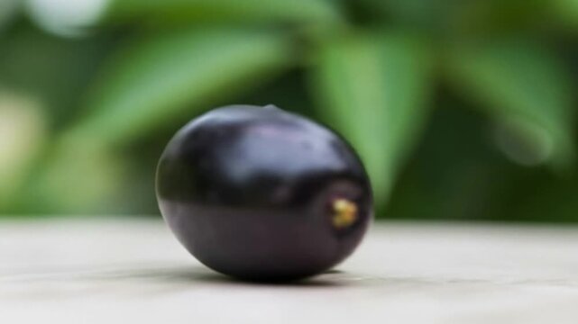 Close-up of a single ripe Java plum on a wooden surface.