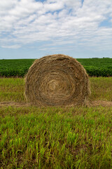 Round Hay Bale Sitting in Ditch next to a Green Soybean Field Mid-Summer in Rural Midwest