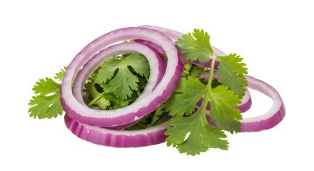 Fresh red onion rings and vibrant cilantro leaves, perfect for enhancing tacos, guacamole, salsa, salads, or as a garnish for healthy recipes. Isolated on white & transparent background for...