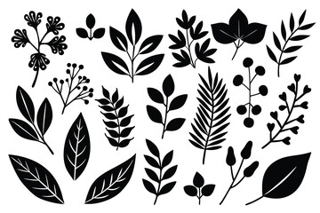 Creative black leaf silhouettes perfect for botanical illustrations or design projects.