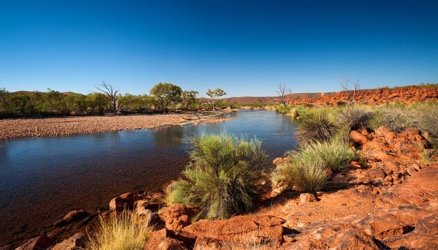 river and bush scene in australian outback