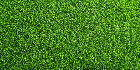 Obraz premium Lush green grass field urban park nature scene outdoor serenity