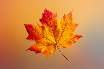 Golden maple leaf isolated on a gradient background