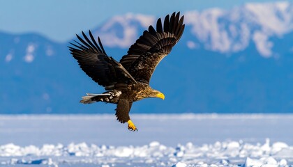 Obraz premium A majestic eagle soaring over a frozen landscape