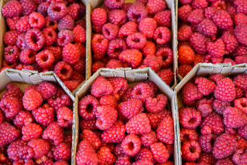 Close-Up of Raspberries in Container, Fresh Organic Berries