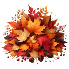 Pile of autumn colored leaves isolated on white background