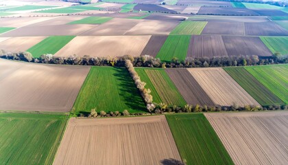 Aerial View Of Patchwork Farmland With Geometric Fields In Earth Tones And Varying Green Sections
