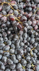 Dense pile of dark blue purple grapes filling frame