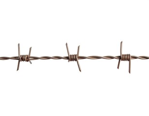 Barbed wire against a white background (1)