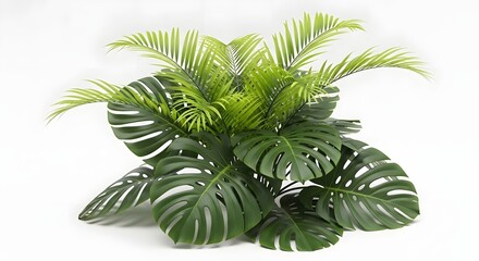 A lush arrangement of tropical plants, including monstera deliciosa and areca palm, isolated on a clean white background, showcasing vibrant green foliage and intricate leaf patterns