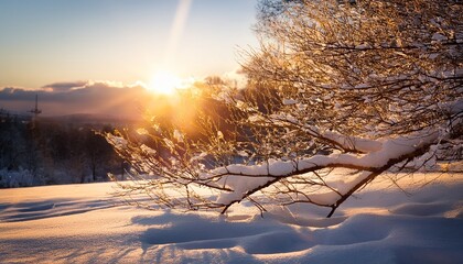 snow covered branch illuminated by warm winter sunlight in a serene landscape