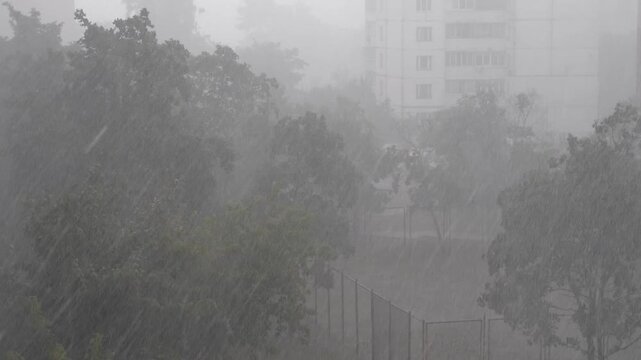 Heavy rain Slow Motion video