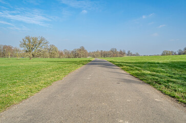 Pathway in a park in springtime