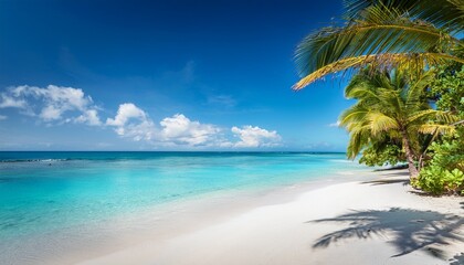 a serene beach scene with palm trees and turquoise waters