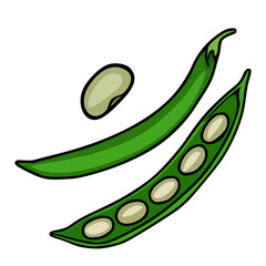 A vibrant vector illustration showcasing a single green bean pod, an open pod revealing several beans, and a separate bean, all rendered in a hand-drawn style with bold outlines and a playful touch.
