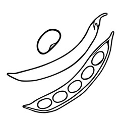 Fototapeta premium A vector illustration showcasing a detailed hand-drawn style depiction of a single bean and an open pea pod, featuring bold outlines and a minimalist aesthetic.