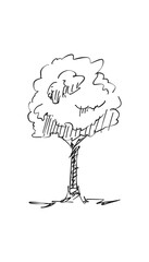 Original vector tree hand-drawn line art, ink style, concept design. isolated silhouette on white background. black outline sketch illustration. Cower drawing. Black-white icon.