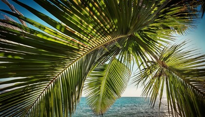 Obraz premium cornered palm leaves creating a lush warm vacation atmosphere