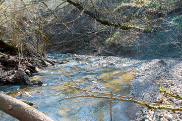 A small stream meanders through a leafless winter forest.