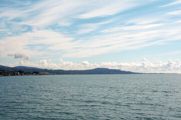 A picturesque Mediterranean bay where towering cypress trees frame a secluded beach, their dark silhouettes contrasting with the turquoise waters and golden sands.