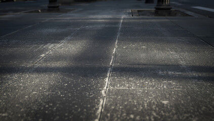 Sun-dappled city sidewalk, showing texture and shadows.