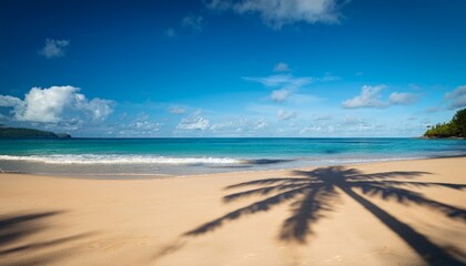 Obraz premium vibrant noon at beach where exquisite shadow of palm tree stretches across fine golden sand