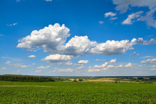 Landscape of green agricultural field against blue cloudy sky