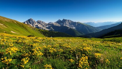Obraz premium scenic mountain landscape with yellow wildflowers and lush green meadow under clear blue sky