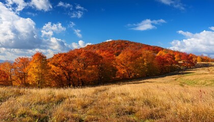 Fototapeta premium a picturesque autumn landscape with a hill blanketed in vibrant fall foliage of reds and yellows under a clear blue sky dotted with fluffy white clouds