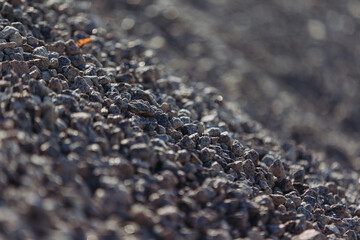 Gravel pile forming a slope in a concrete production plant