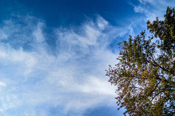 Eiswolken an einem blauen Himmel
