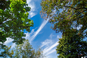 Eiswolken an einem blauen Himmel