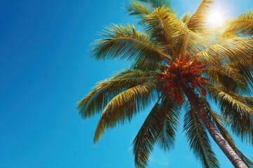 Exquisite tropical palm tree basking in warm sunlight against a clear azure sky symbolizing relaxation and summer escapism in a picturesque natural environment captured with clarity