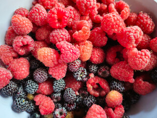 Close-up of ripe red raspberries and black blackberries in a gray bowl