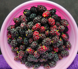 Ripe black mulberries in a pink bowl, close-up