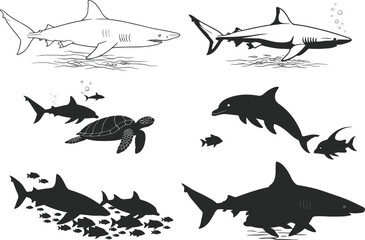 Shark and marine life illustration set, ocean wildlife, sea creatures, underwater scene, predator fish, aquatic nature, scuba diving, tropical, reef, ecosystem