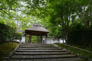Fototapeta premium 新緑の安楽寺 山門 京都市左京区鹿ケ谷
