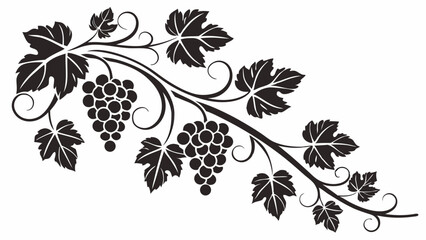 Black silhouette grape vine with leaves and fruit. Elegant decorative vector design element for wine, food, and nature.