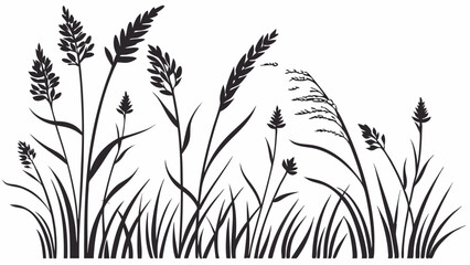 Black silhouette of wild grass, reeds, and grain plants. Nature background vector illustration for design.