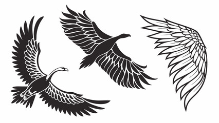 Fototapeta premium Flying birds and wing set vector illustration. Black and white graphic design elements of majestic animals in flight. Freedom symbol.
